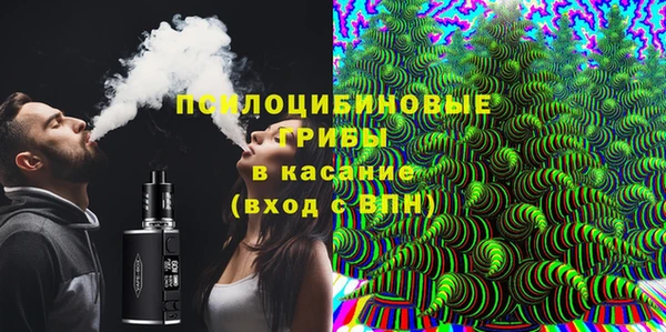 СК Аркадак