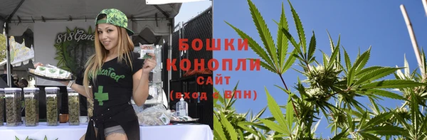 ГАЛЛЮЦИНОГЕННЫЕ ГРИБЫ Балабаново