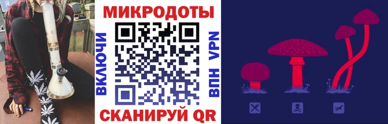 Галлюциногенные грибы мухоморы  продажа наркотиков  Новомосковск 